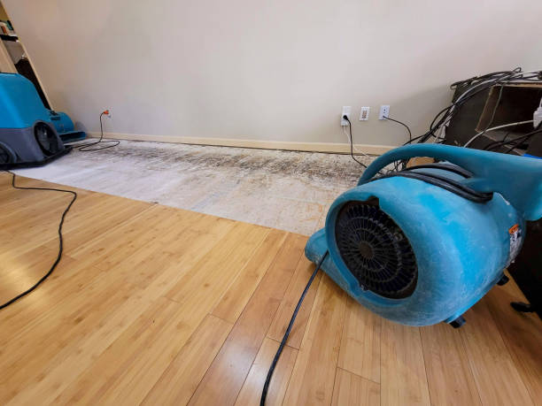 Professional Sewage Cleanup technician working in Baldwin, NY